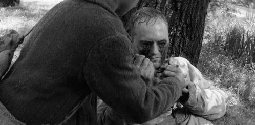 放荡的妇人在线观看,一场禁忌的欲望之旅 第2张 放荡的妇人在线观看,一场禁忌的欲望之旅 第2张